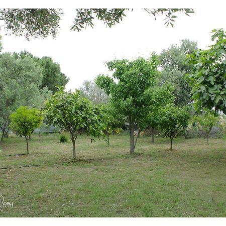Вілла Il Giardino Di Rosy Su Forti Екстер'єр фото